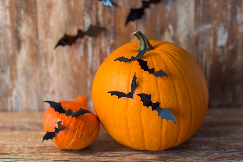 pumpkins with bats or halloween party decorations